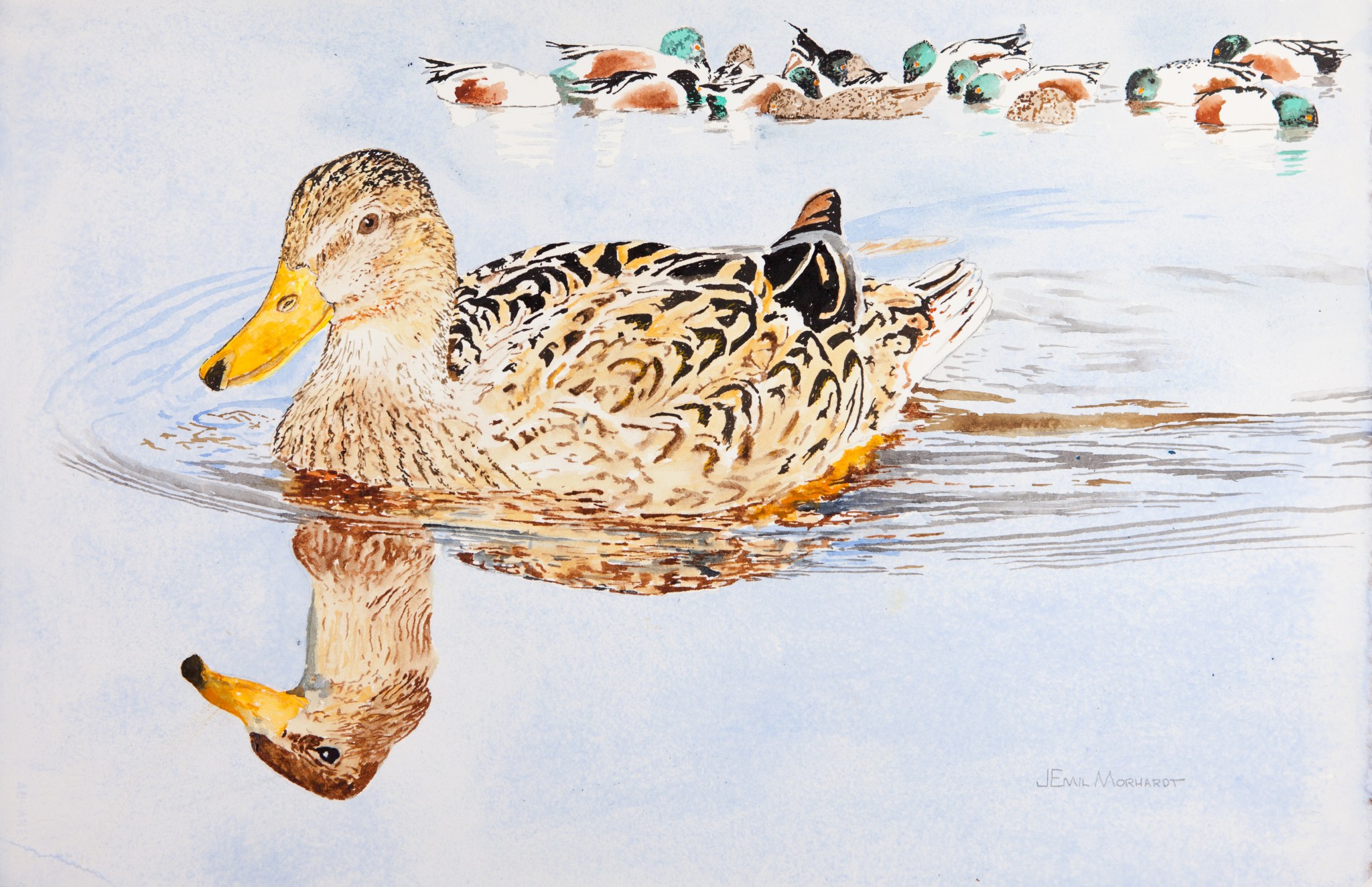 mallards-1-pnt_9328