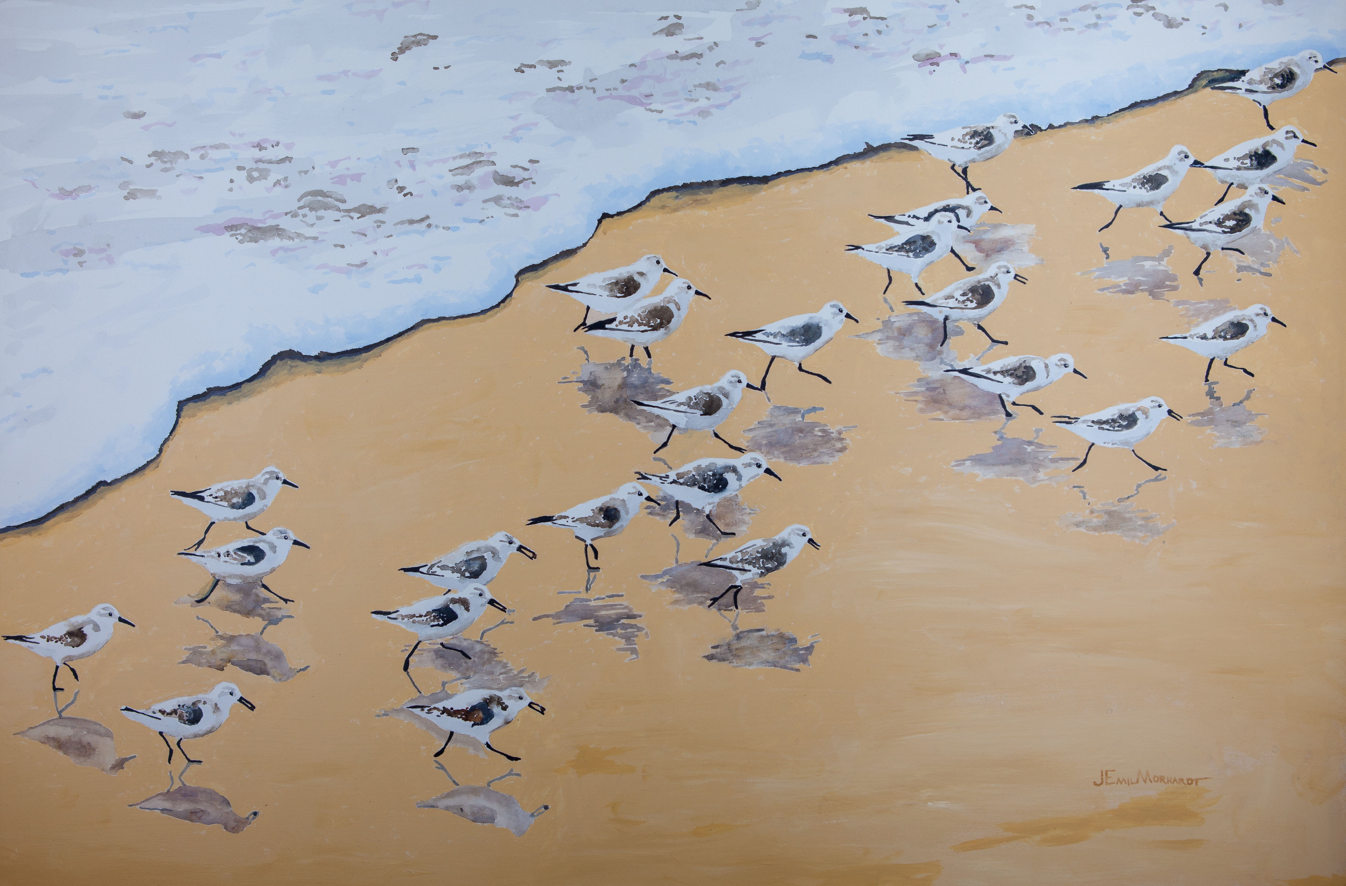 Sanderlings #9 PNT_0226