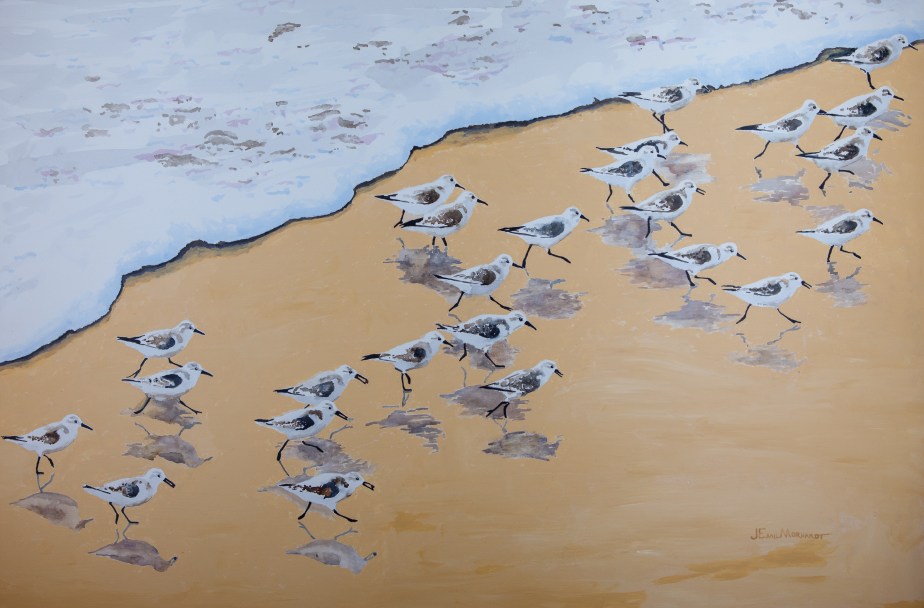 Sanderlings #9 PNT_0226
