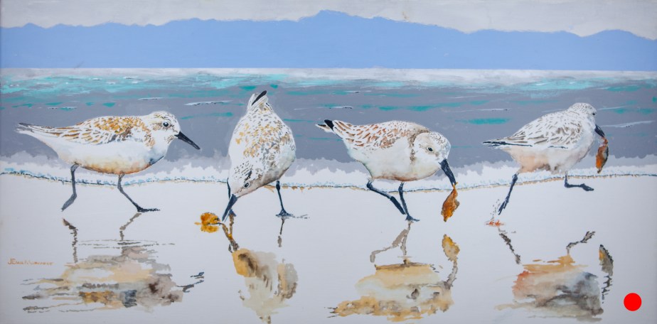 Sanderling #14, The Absquatulater SOLD IMG_0300-2