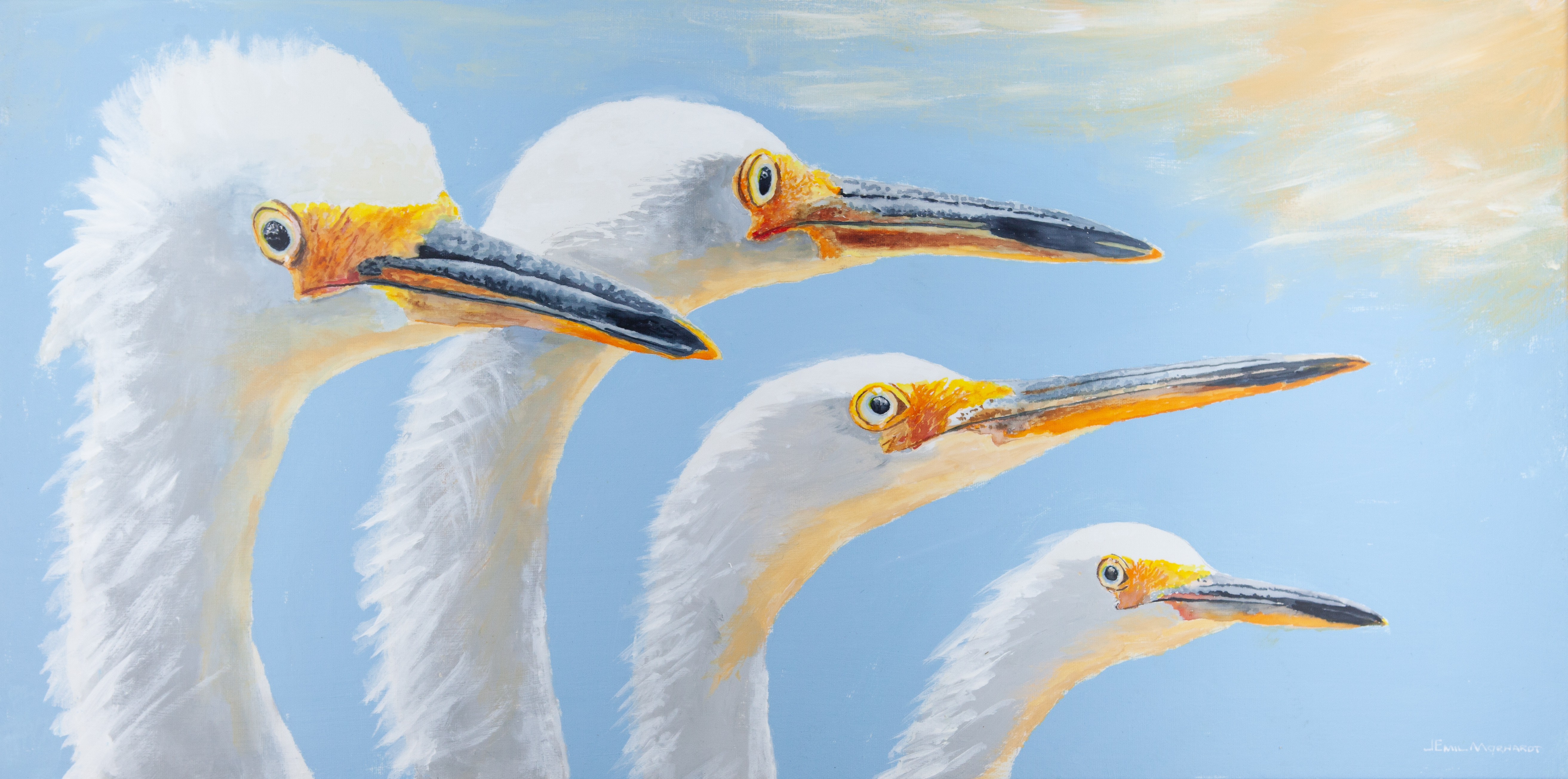 Snowy Egrets with Climate Change IMG_0519