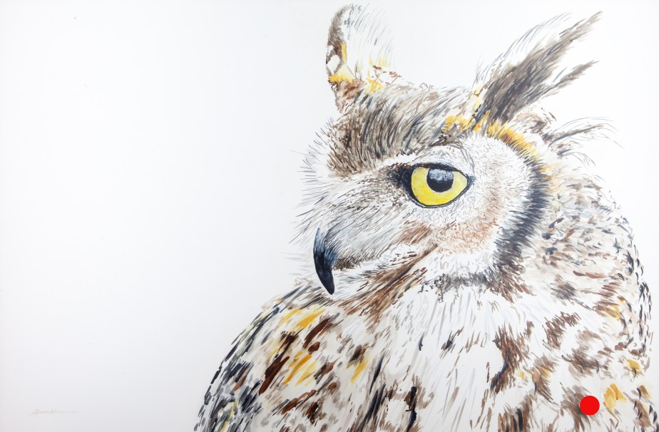 Owl, Great Horned SOLD IMG_0499