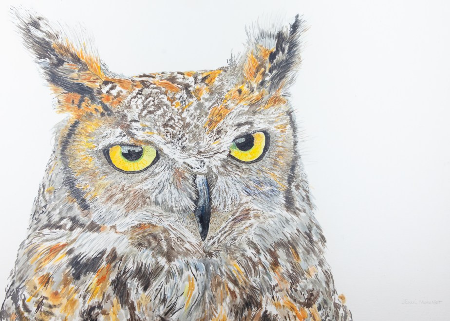 Owl, Great-Horned, Max #2IMG_0524-2