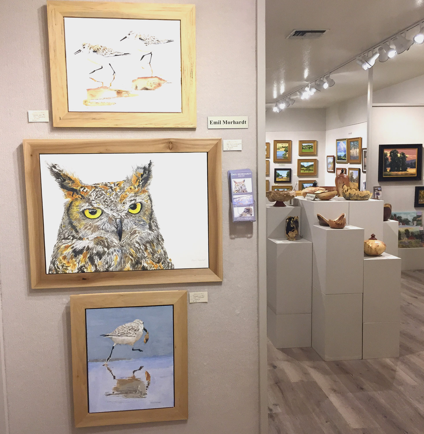 Gallery Shot IMG_2702