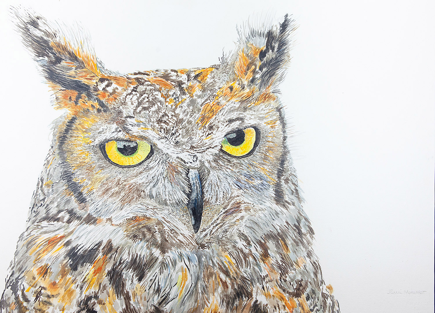 Max, the Great Horned Owl IMG_0524