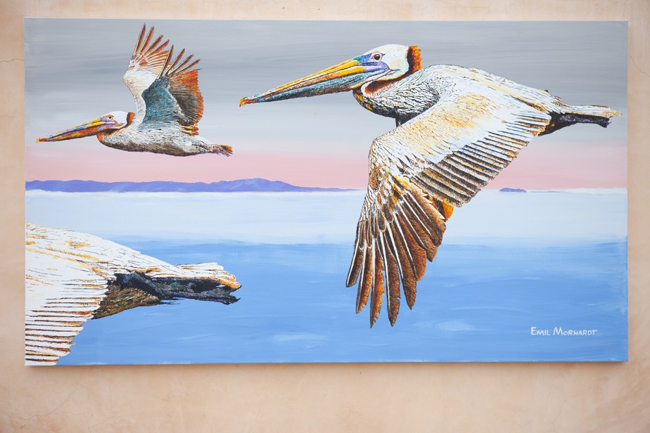 The Squasdron Rt. 1500