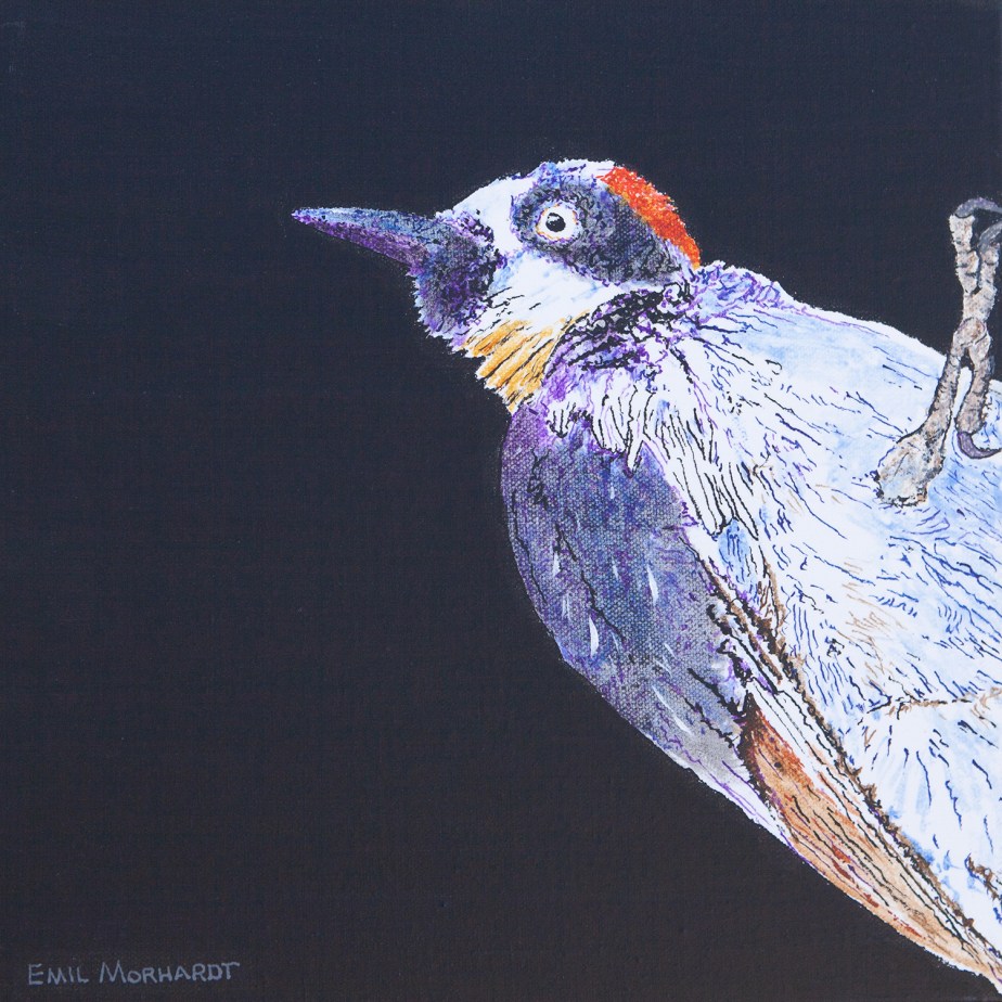 Image of a painting of an Acorn Woodpecker clinging to the side of the canvas, against a black background.