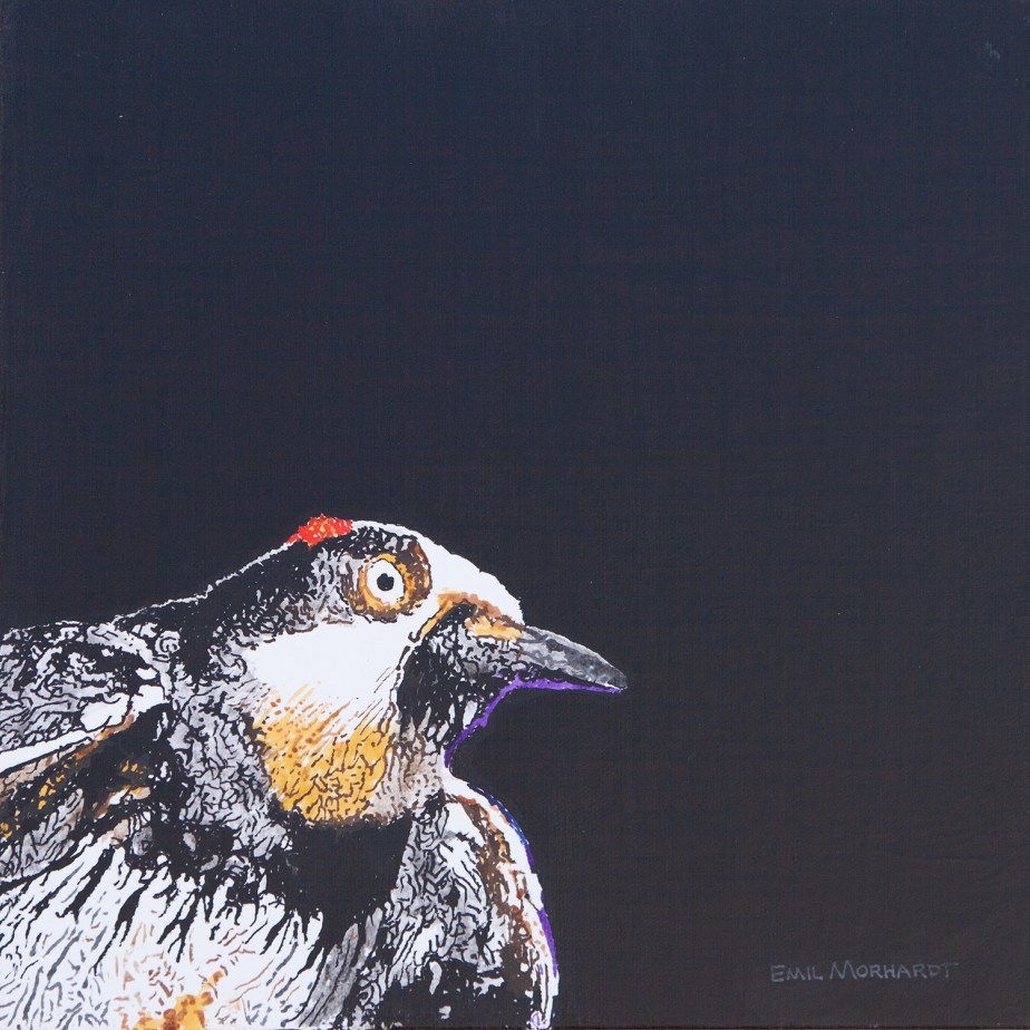 Image of a painting of an Acorn Woodpecker rising into the left corner of the canvas, against a black background.