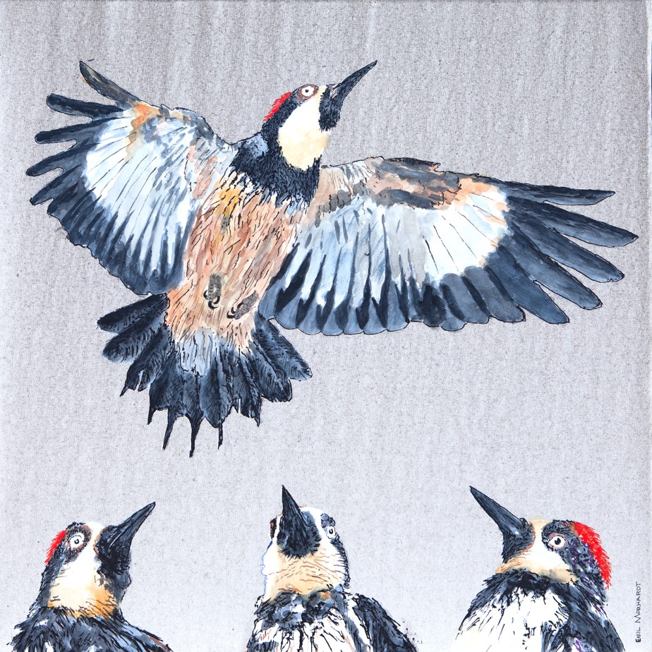 Image of a painting of three Acorn Woodpeckers admiring the vertical flight of a fourth