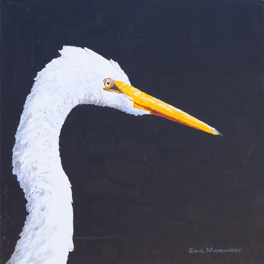 Image of a painting of a Great Egret head with a black background.