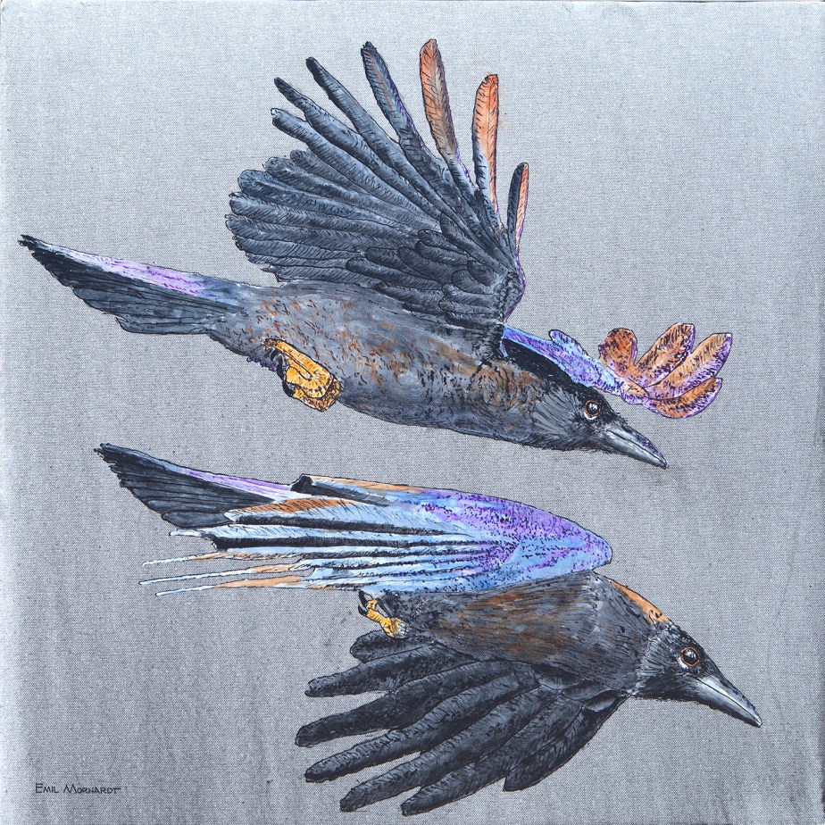 Image of a painting of a two flying American Crows with a gray background.